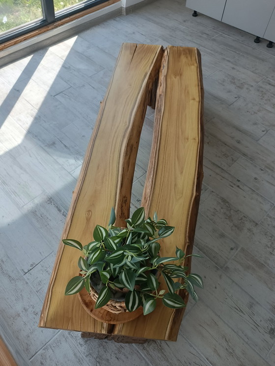 Image 1 of Sylvan Origin - Der Geist des ungezähmten Vermächtnisses