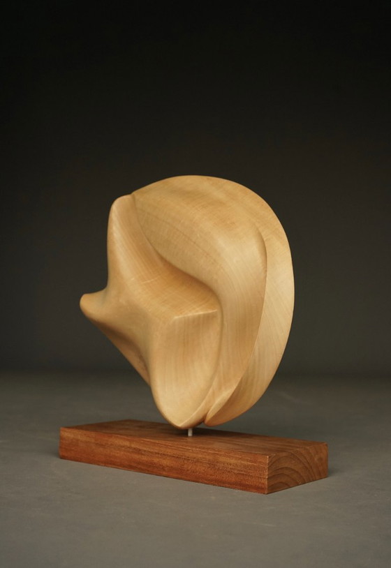 Image 1 of Scultura astratta in legno di melo intagliato, anni '80