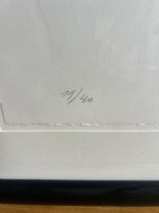 Image 1 of Lei Molin – Grote handgesigneerde zeefdruk – 19/40 – ingelijst
