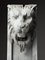 Lion – beeldhouwkunst (photo 2 of 18)