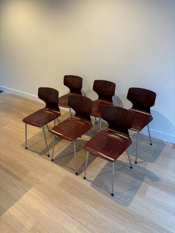 Image 1 of 6x Eromes Obo Chairs , Wijchen