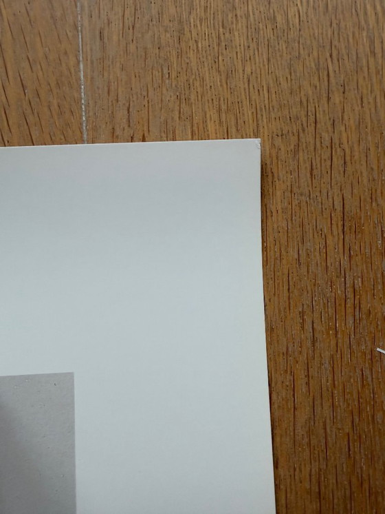 Image 1 of Andy Warhol (1928-1987), Campbell's Soup I (Tomate), 1968, Copyright 1996 The Andy Warhol Foundation for the Visual Arts, Inc..