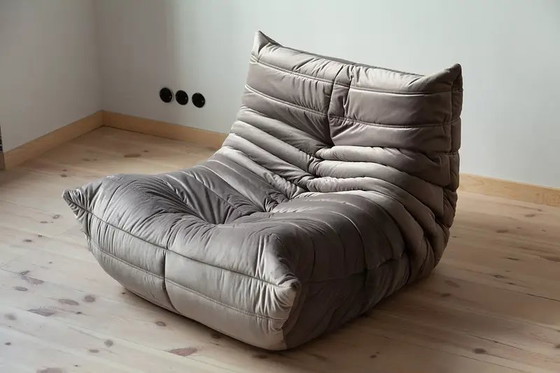 Togo fauteuil in warmgrijs fluweel – Michael Ducaroy, Textile, Velvet (photo 2 of 10)
