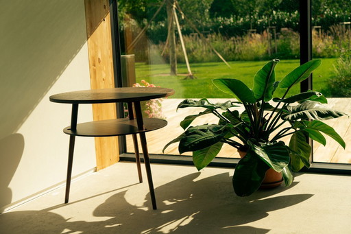 Professionally restored mid-century coffee table - Drevopodnik Holesov