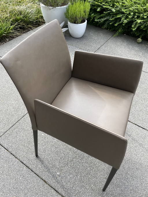 Walter Knoll Dane chair
