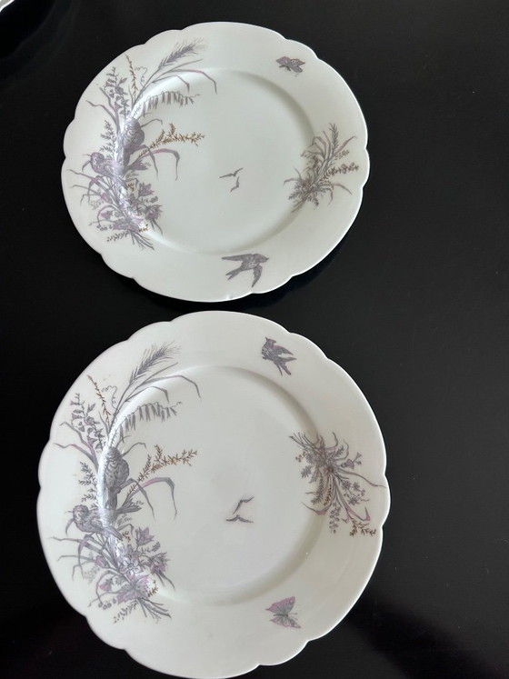 8 Porcelain Plates and Platter Ch. Pillivuyt & Cie – Crockery (photo 2 of 16)