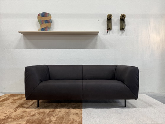 Image 1 of Label van den Berg Moby Dick 2.5 Seater Dark Brown
