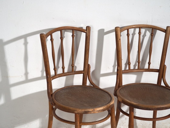 Pair of Thonet style bentwood chairs with turned spindles – Central Europe, circa 1920 – Dining chairs (photo 15 of 40)