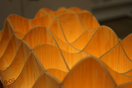 Image 1 of Plafondlamp parametrisch design plywood