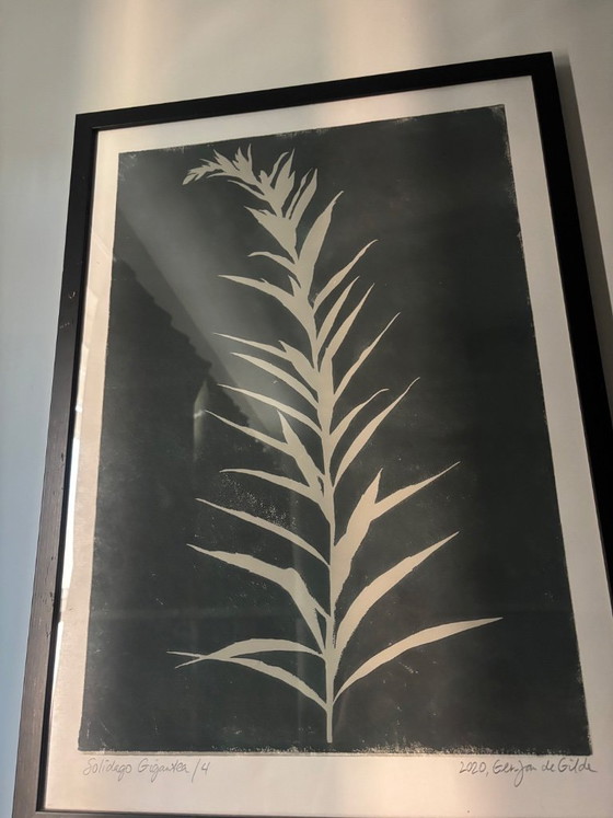 Image 1 of Botanical prints Ger Jan de Gilde