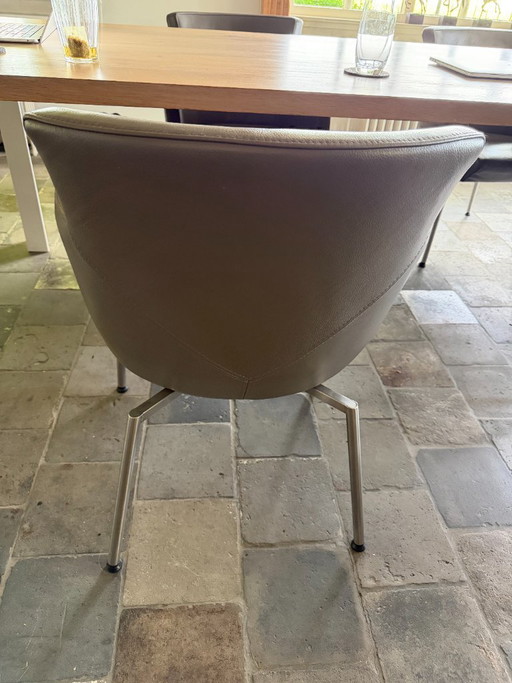 6 Karat stoelen te koop met leren bekleding