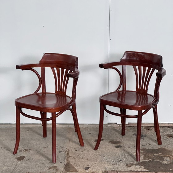 Image 1 of Paire de chaises hongroises Sellaton, années 2000 — Design contemporain