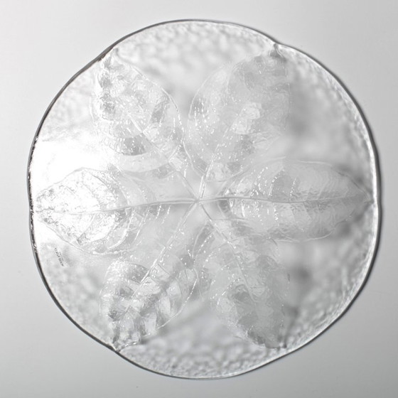 Image 1 of Kosta Boda Glass Clear Platter: Vintage Leaf Design by Wärff / 1975