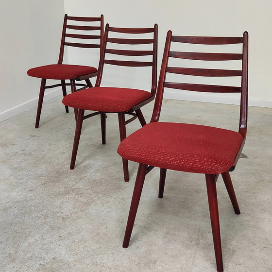 Set of 6 Jitona Sobeslav chairs, Czechoslovakia 1960 – Dining chairs, Mid Century Modern (photo 7 of 21)