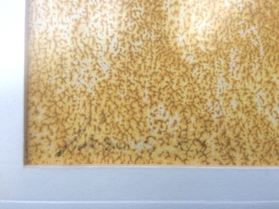 Image 1 of Alvarido : 'Floral' [Vintage années 70] Pastel