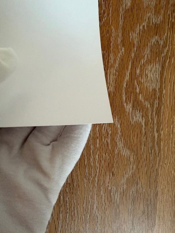 Image 1 of  Jenny Saville: Rosetta Ii, 2005-06, Copyright Jenny Saville, DACS 2021, Printed In US