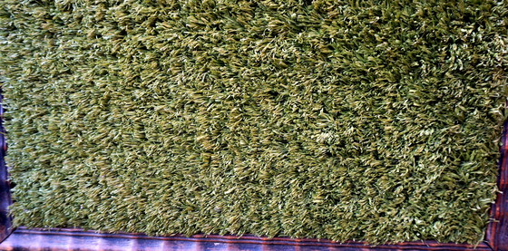 Image 1 of Le rêve du gardien de but