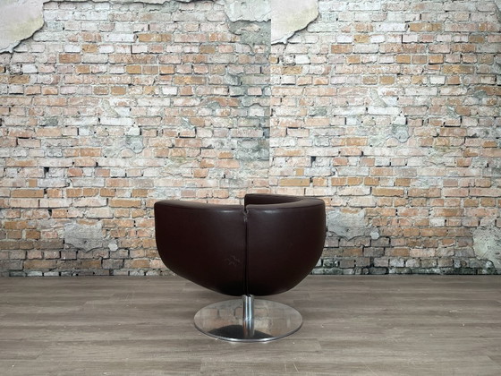 Image 1 of B&B Italia Tulip Armchair bruin
