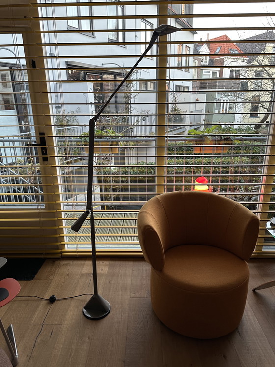 Image 1 of Lampadaire - Lumina "Zelig Terra" par Walter Monici