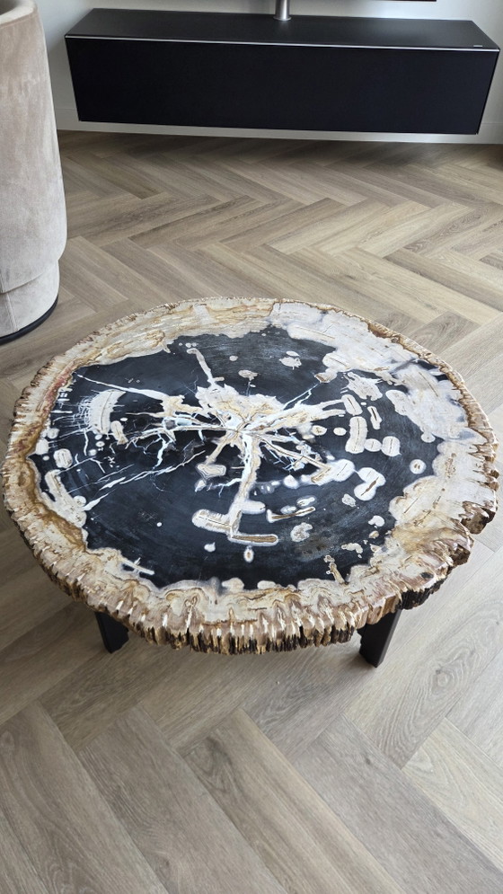Versteinerter Baumstamm Couchtisch!!! – Couchtische, Metal, Stone (photo 6 of 8)