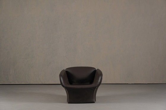 Image 1 of Bloomy-Sessel von Patricia Urquiola für Moroso, Italien, 2000er Jahre