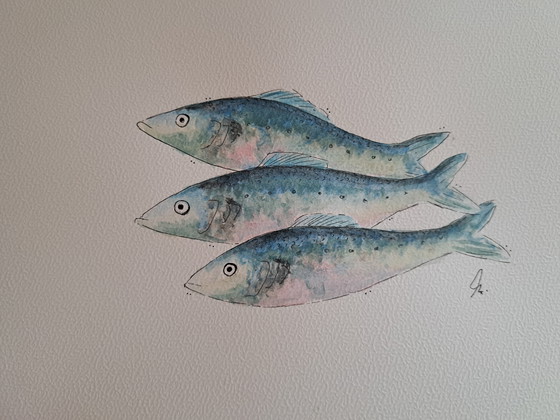 Image 1 of Watercolor painting Three Sardines