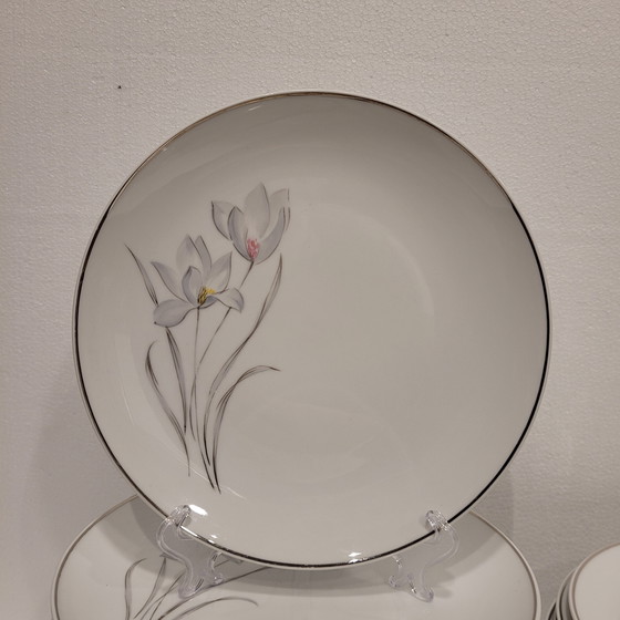 Image 1 of Vajilla de Porcelana Flores, Eschenbach, 55 Piezas, 50’s - Alemania
