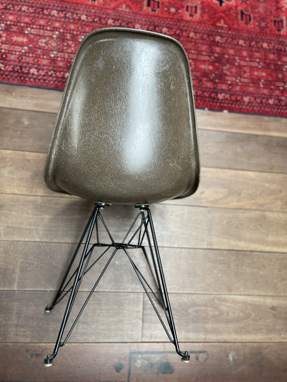 Image 1 of Sedia Eames Herman Miller Vintage in fibra di vetro con base Eiffel