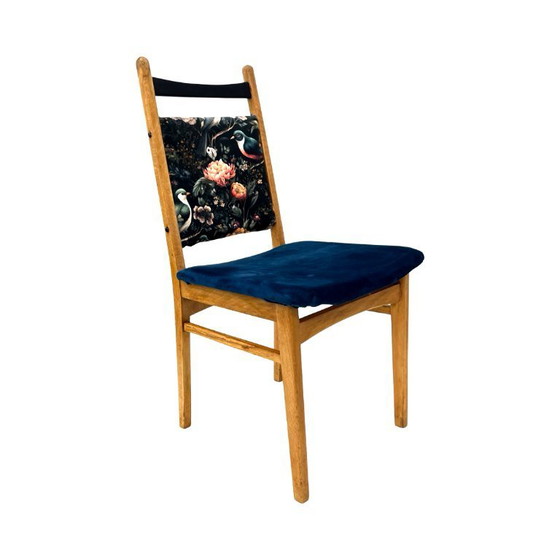 Image 1 of Sedia "Rostock" – VEB Vereinigte Sitzmöbelindustrie Neuhausen, DDR 1960–1975 | faggio | dopo la ristrutturazione