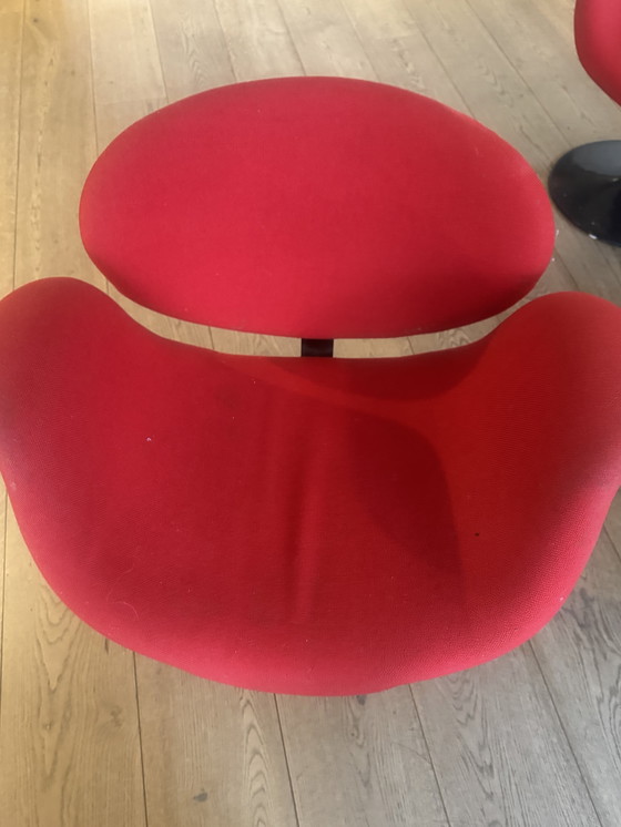 Image 1 of 4 chaises de salle à manger Artifort Filip