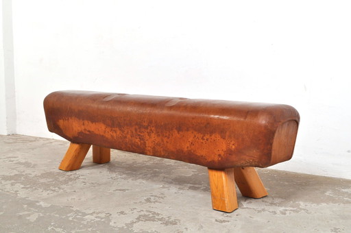 Vintage gymnastic horse / bench seat