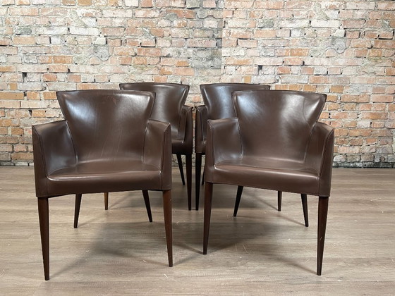 Matteo Grassi Vela Stühle 4er-Set – Braun | Carlo Bartoli – Esszimmerstühle, Leather, Wood (photo 2 of 11)
