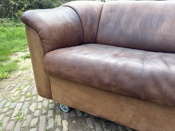 Raro divano 2 posti DS 95 De Sede – Divani 2 posti, Leather (photo 7 of 13)