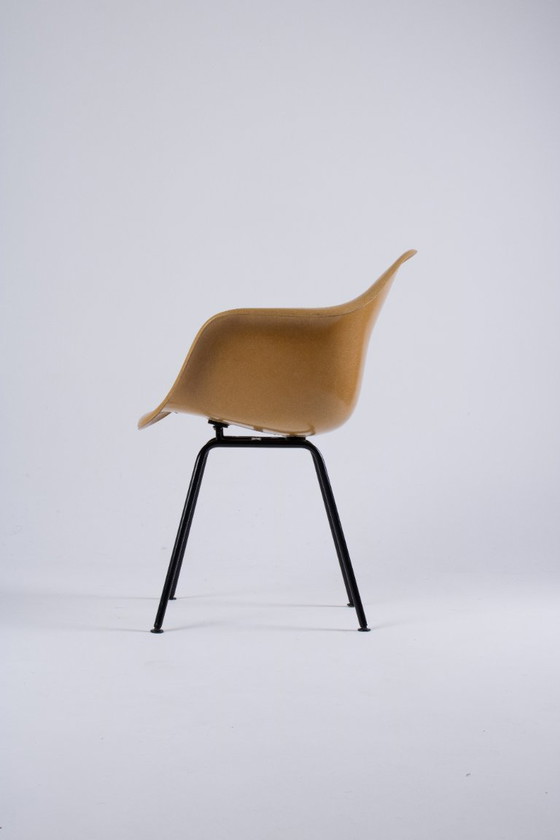 Image 1 of DAX Eames en fibre de verre – Light Ocre – Herman Miller / Vitra – circa 1965-1975