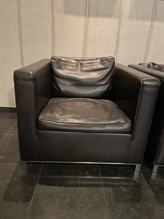 Twee bruine Molinari fauteuil – Leather, Metal (photo 4 of 5)