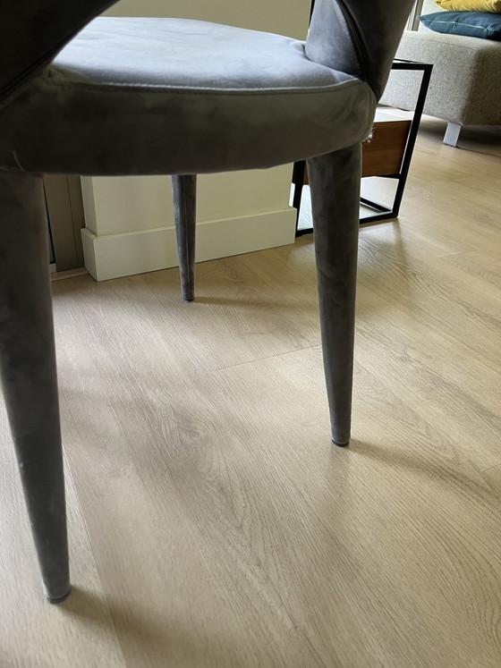 Image 1 of Silla sagrada Pols Potten de terciopelo gris