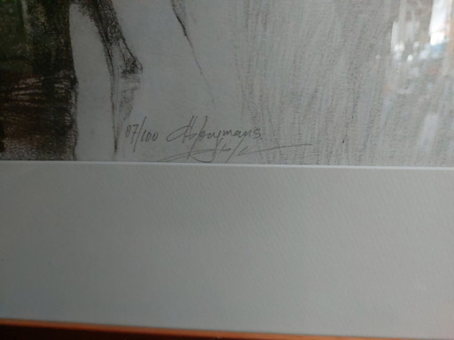 Lithografie von Ab Jongmans – lithos zeefdrukken, Paper (photo 2 of 5)