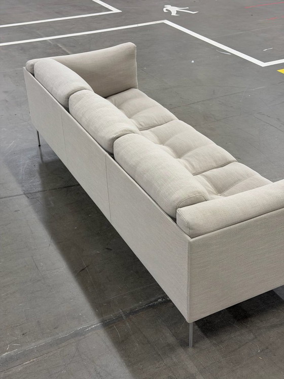 Divano Living Divani Rod | Sabbia – Divani 3 posti, Tessile (photo 7 of 16)