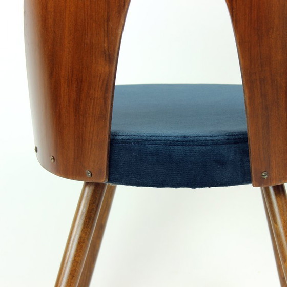 Image 1 of Set Of 6 Iconic Tatra Chairs In Walnut & Velvet By šuman, Nabytok Pravenec 1960s