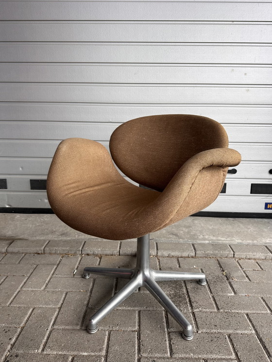Image 1 of Artifort Tulip armchair with ottoman