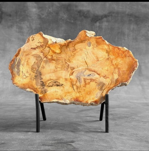Bois fossilisé de Sooka, fabrication sur mesure standard (nouveau)