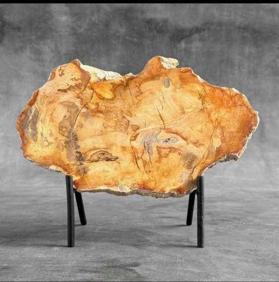 Image 1 of Bois fossilisé de Sooka, fabrication sur mesure standard (nouveau)