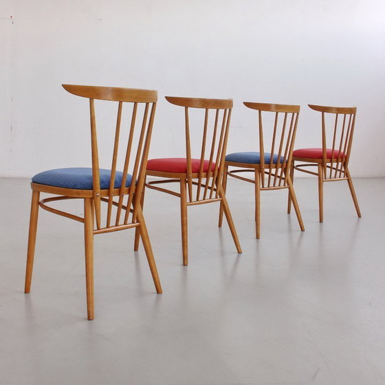 Image 1 of Een paar stoelen uit het midden van de 20e eeuw, Tsjecho-Slowakije, volledig gerestaureerd en opnieuw bekleed, vintage jaren 60.