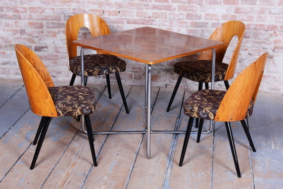 Set of Four Restored Mid-Century Chairs, Beech, Oak, Slovakia, 1950-1959 – Tatra Nábytok, Dining chairs (photo 3 of 11)
