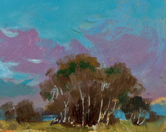 Image 1 of Origineel olieverfschilderij: Zomerlandschap aan het meer, in een veld vlakbij het meer.