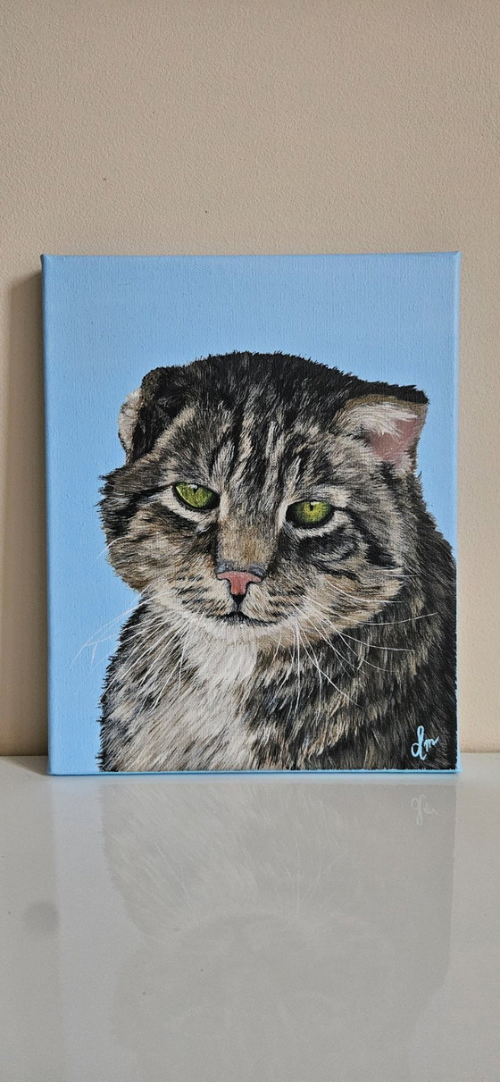 Image 1 of Faites réaliser un portrait de votre animal de compagnie, peinture