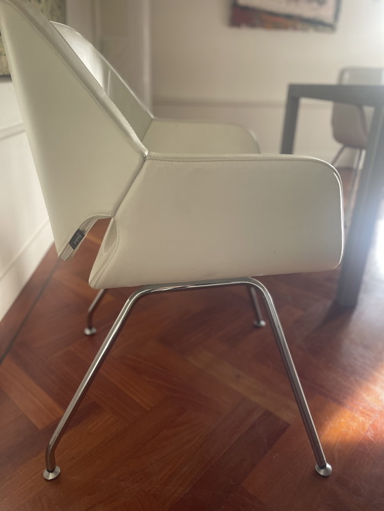 Image 1 of 6X Artifort Cap Chairs