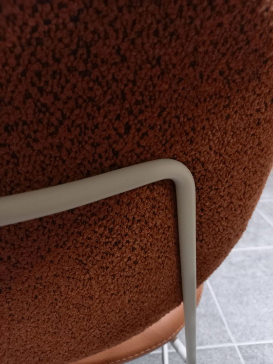 Image 1 of BertPlantagie enset Daisy S/4