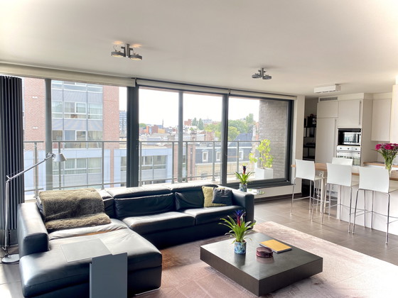 Image 1 of Teppich - JoV - 300x260cm