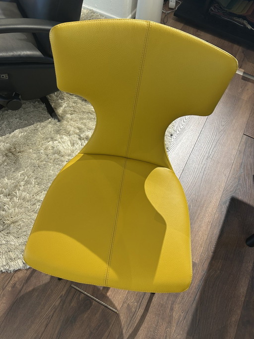 Leolux Callas dining chair